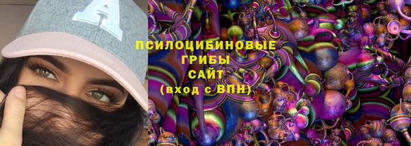 тгк Беломорск