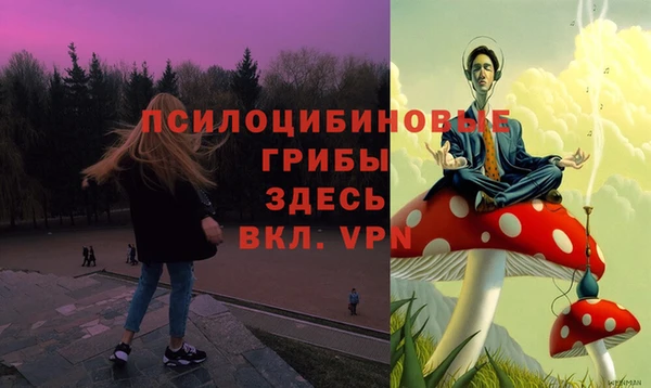 тгк Беломорск