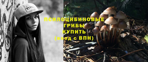 тгк Беломорск