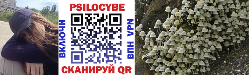 Галлюциногенные грибы прущие грибы  блэк спрут ТОР  Жуковский 